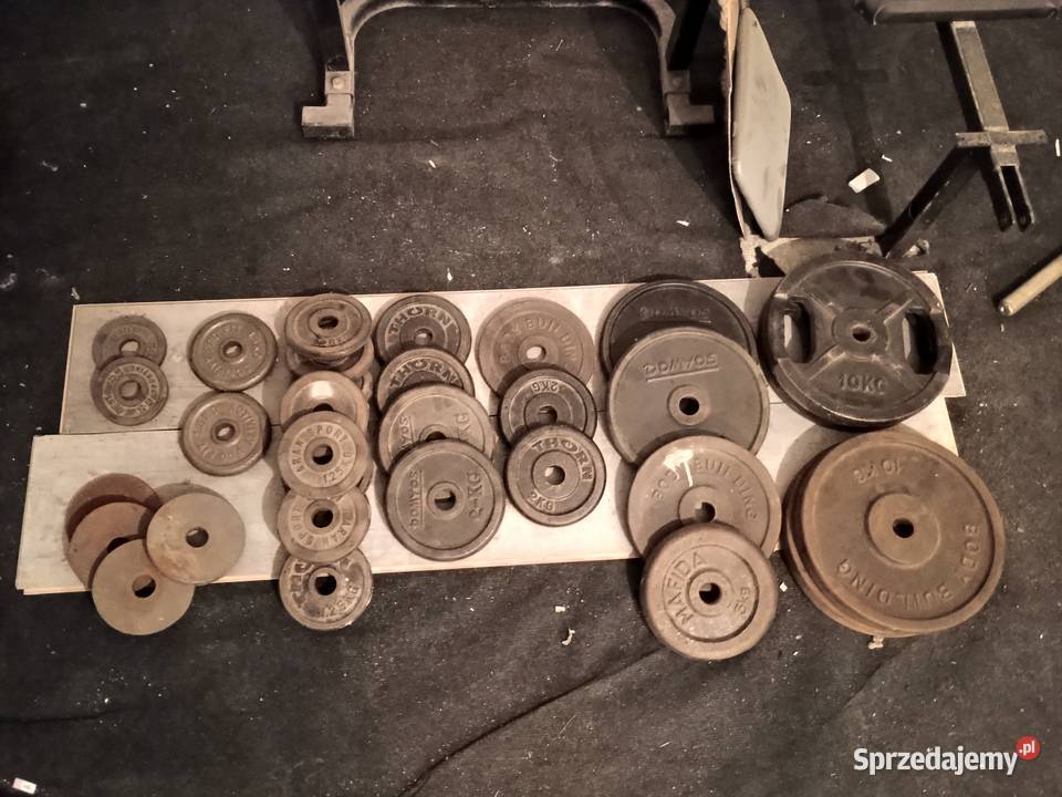 Masywna Ławka do Cwiczen Gryfy Obciazenia Sprzęt do ćwiczeń Sosnowiec