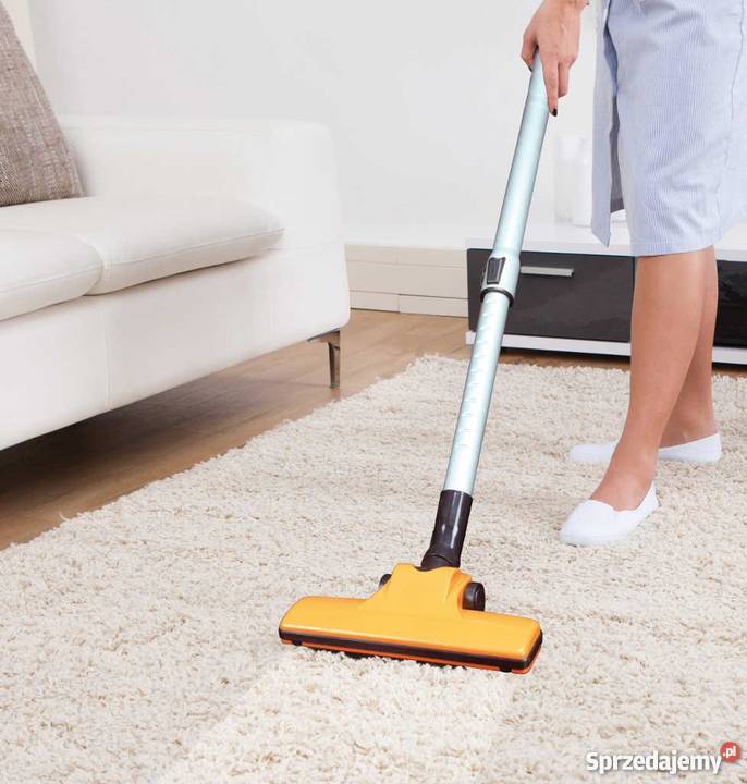 BeProHome Odkurzacz Cyklonowy Bezworkowy 2w1