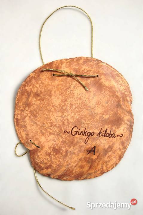 Miłorząb japoński gingko biloba liść zawieszka z wielokolorowy Lublin