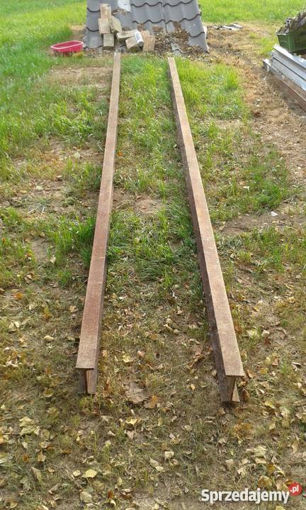 Dwuteowniki długie Lublin