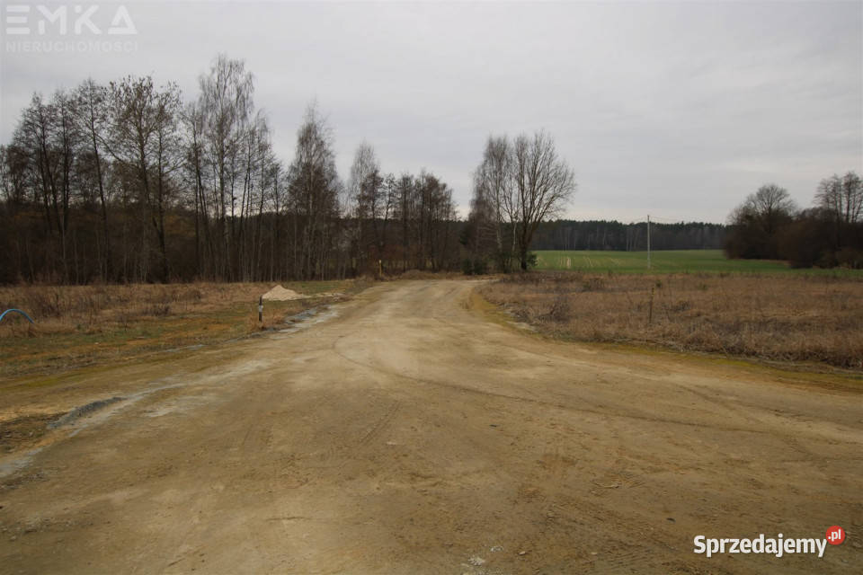 Ogłoszenie działka 1079 metrów Branica