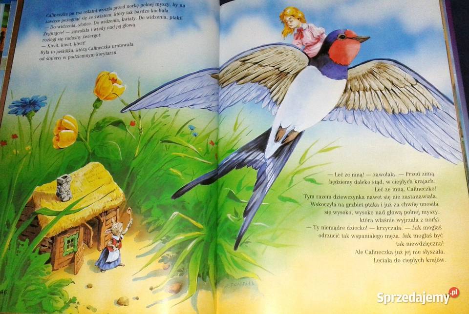 Najpiękniejsze baśnie Hans Christian Andersen Pozostałe Chełm