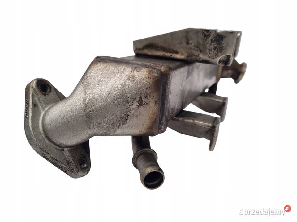 CHŁODNICA SPALIN EGR Renault Scenic III 20 dCi Recyrkulacja spalin EGR lubelskie Chełm