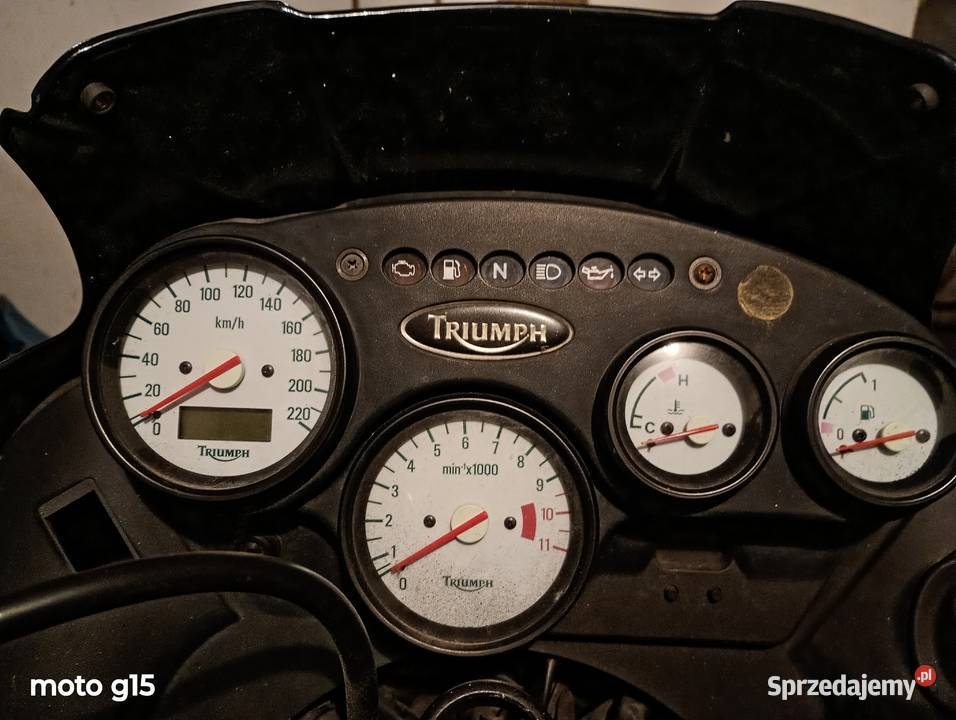 triumph tiger 955i 855i Mrozy sprzedam