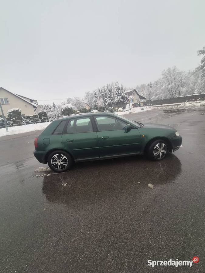 Audi a3 8l 19tdi Pstrągowa