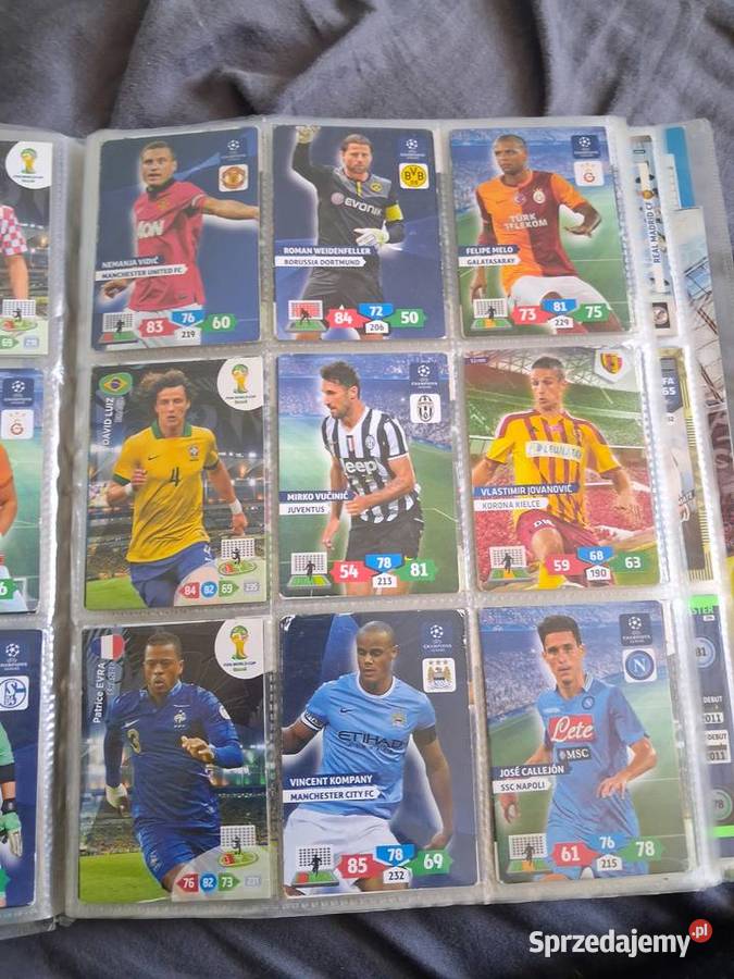 Wielka kolekcja kart Panini Adrenalyn XL Poznań
