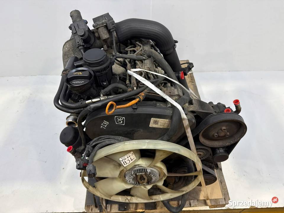 SILNIK BJL VW Crafter 25 TDI 136 diesel Chełm