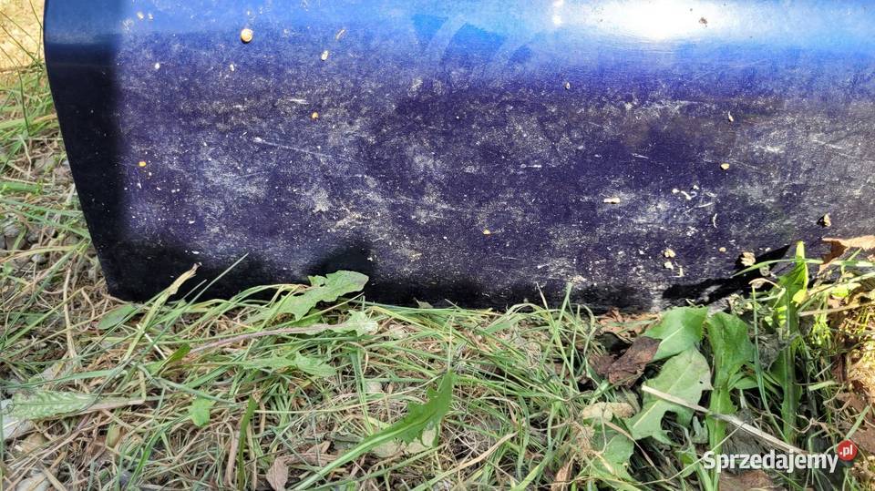 Drzwi Seat Alhambra Łagów