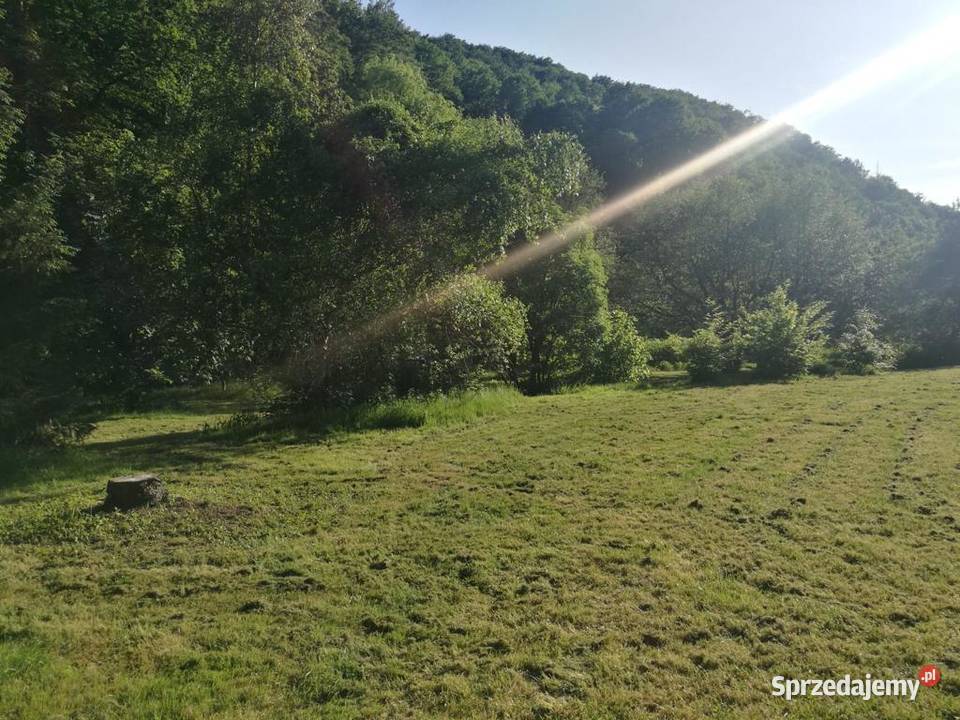 Wyjątkowy dom potoku w magicznym Jarnołtówku 695 1400m2 opolskie Jarnołtówek