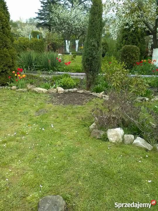 Sprzedam Ogródek działkowy Bytom Łagiewniki Rod 360m2