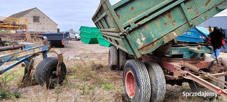 Bradystka BBS 5m24m Panaw Kutno