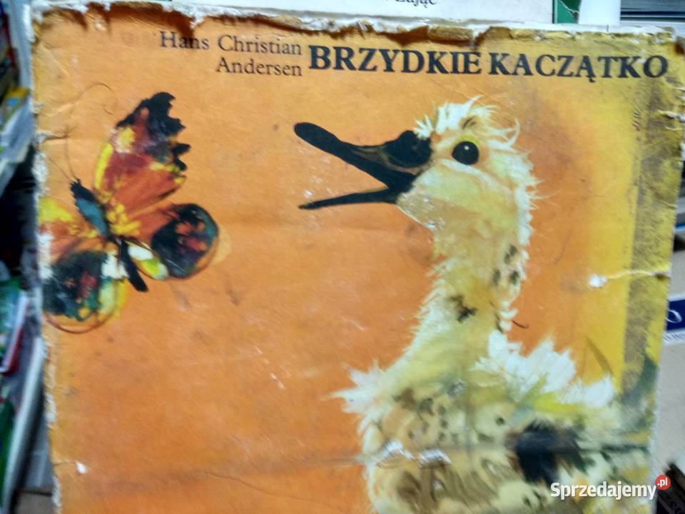 Brzydkie kaczątko ilustracja Grabowski dziecięce Warszawa