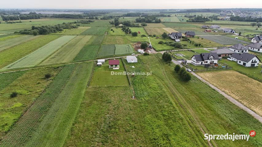 Grunt Krzeczów 2000m2 Sprzedaż