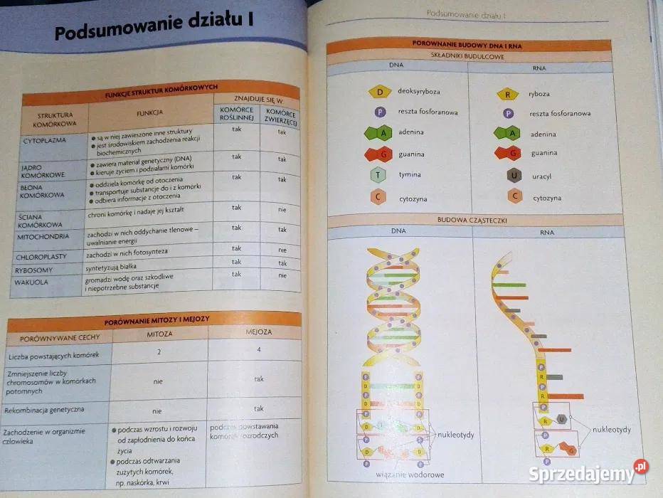 Ciekawa biologia Cz 3 E Kłos W Kofta Pozostałe Chełm sprzedam