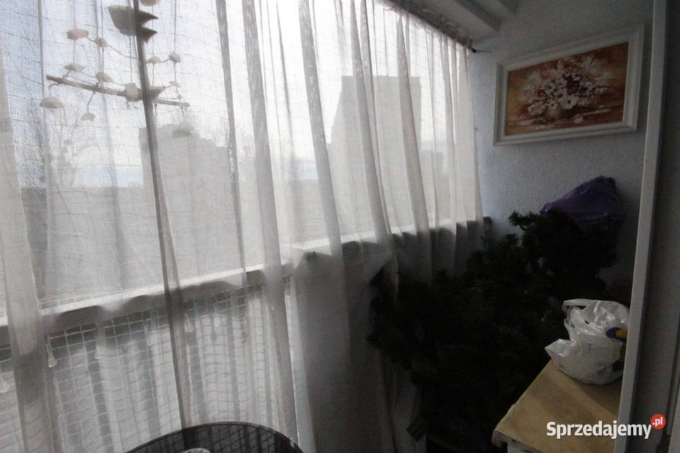 3pok 44met Alei Pracy LOGGIAPIWNICA Wrocław parter Sprzedaż sprzedam