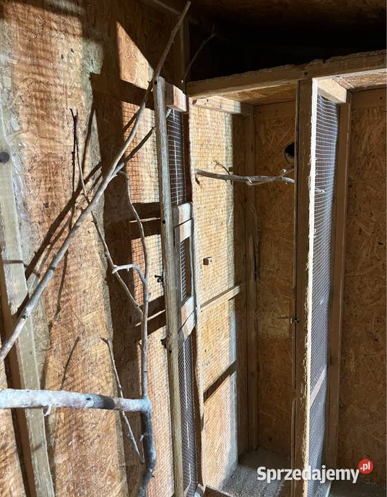 Woliera papug Janina