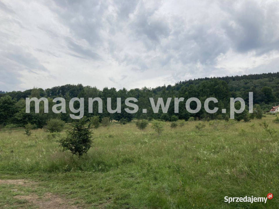 Działka w Łomnicy dolnośląskie Łomnica