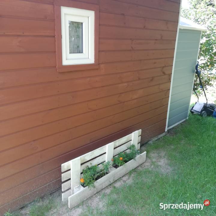 Działka ROD w Łowiczu rekreacyjna sprzedam