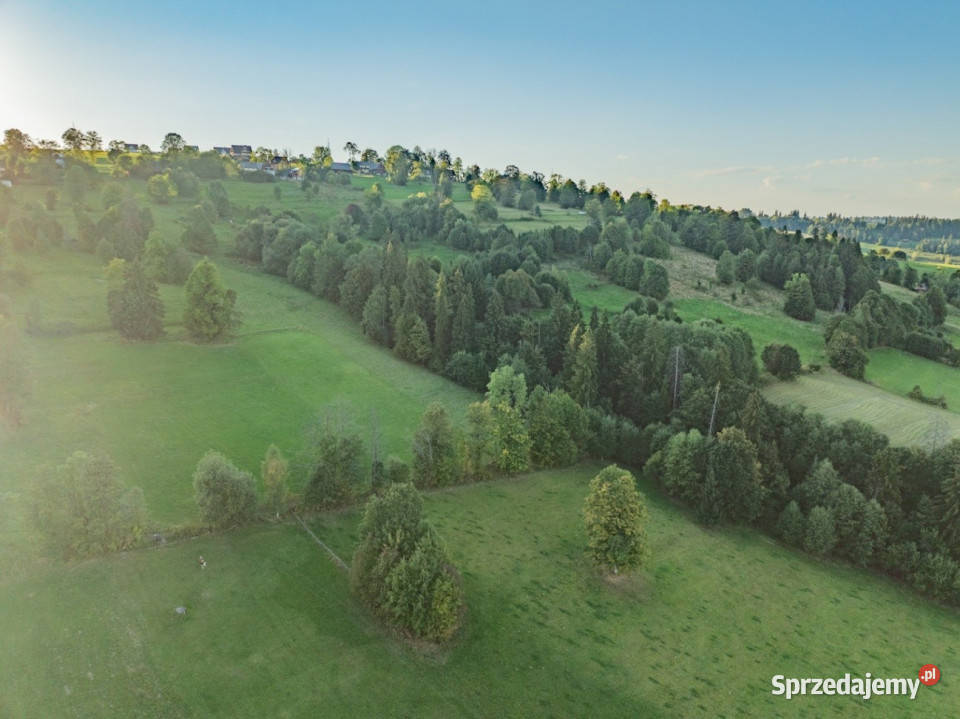 Działka rolna Biały Dunajec Dańkowe 104m