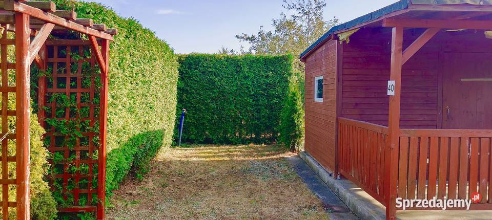 Sprzedam działkę rekreacyjną ROD Słonecznik w Sprzedaż śląskie Kuźnia Raciborska