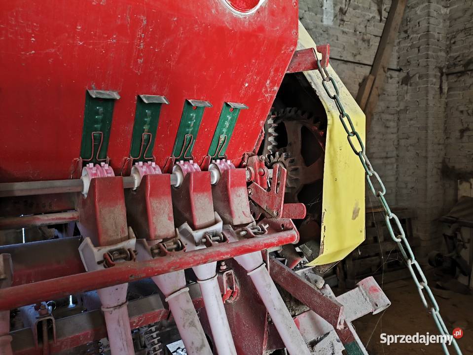 Siewnik Poznaniak 27 Grabiec