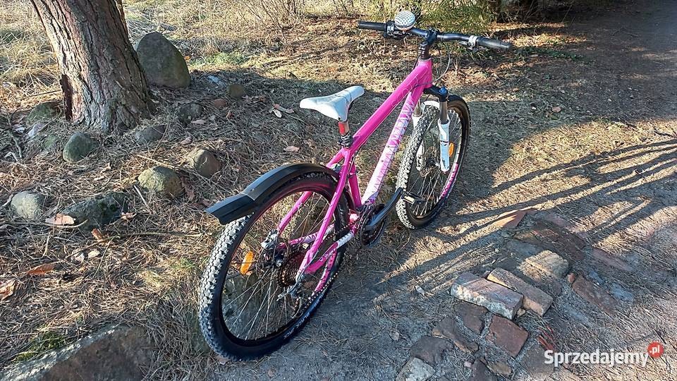 Alu Rower Górski Mtb Młodzieżowy Scott Contessa Wołów