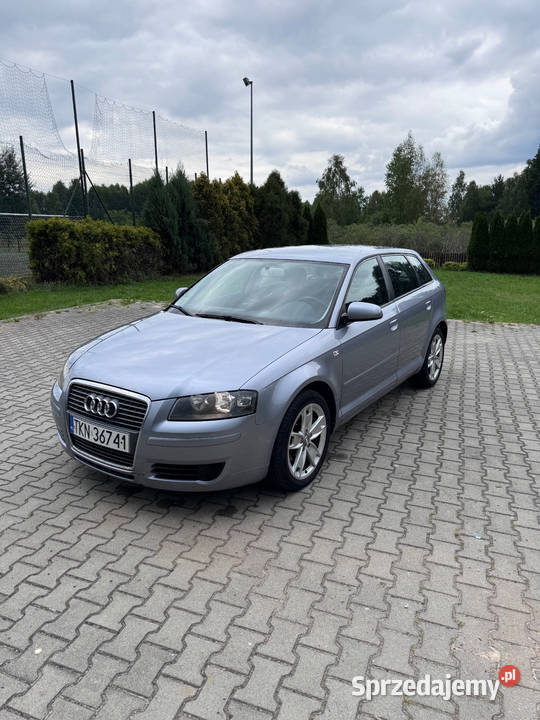 Audi A3 8P 19Tdi Królewiec Poprzeczny