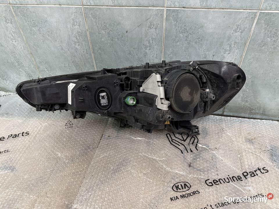 Alfa Romeo Giulia Xenon lampa przód prawa Lampy przednie sprzedam