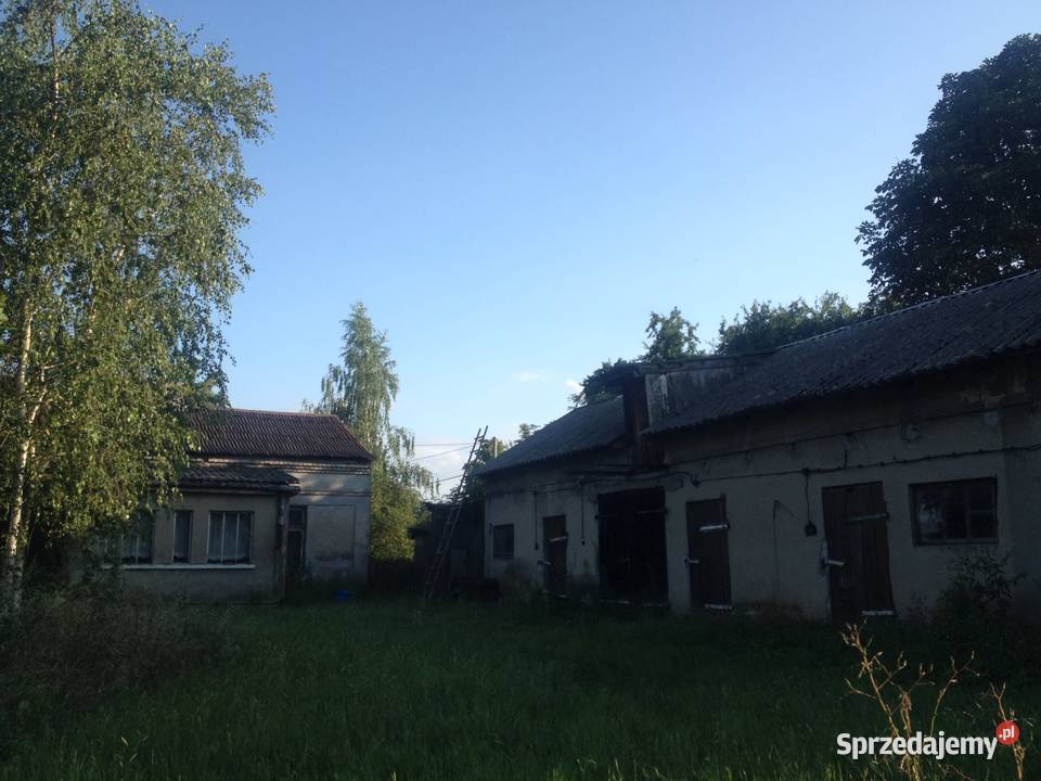 Do sprzedania gospodarstwo dom i zabudowania Zakrzewek