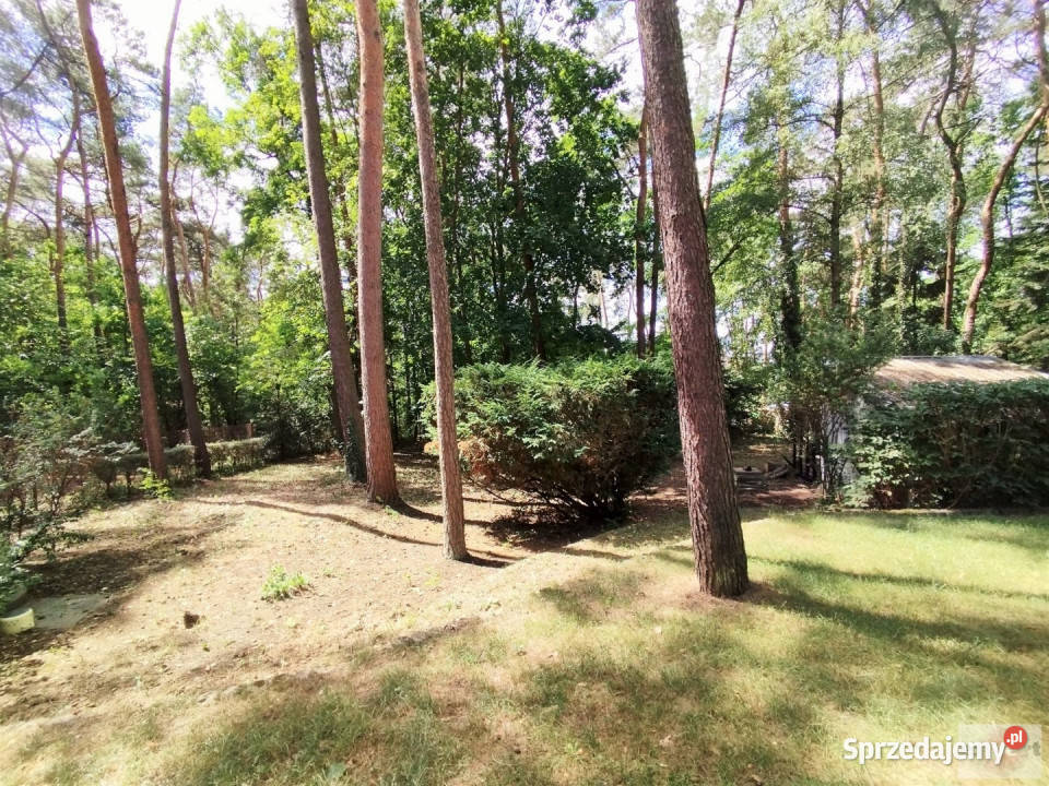 Dom wolnostojący 110m2 Anielin Swędowski