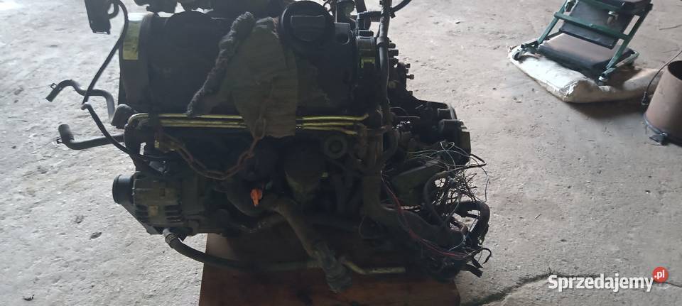 19 tdi axr swap podlaskie Sokoły