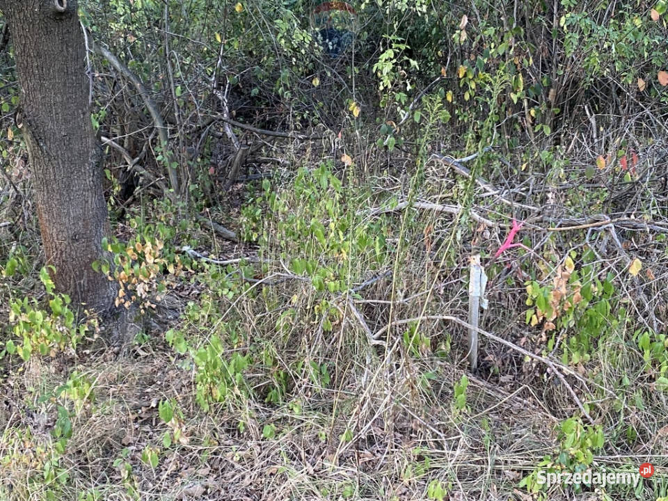 Działka budowlana w spokojnej okolicy