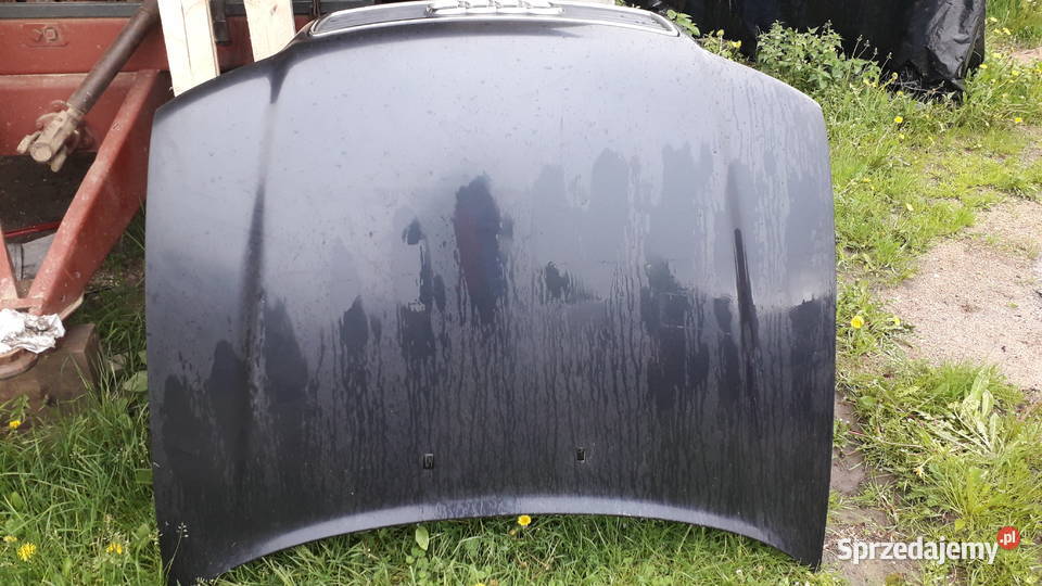 Maska przód audi a4 b5 LZ4V części blacharskie Sokółka