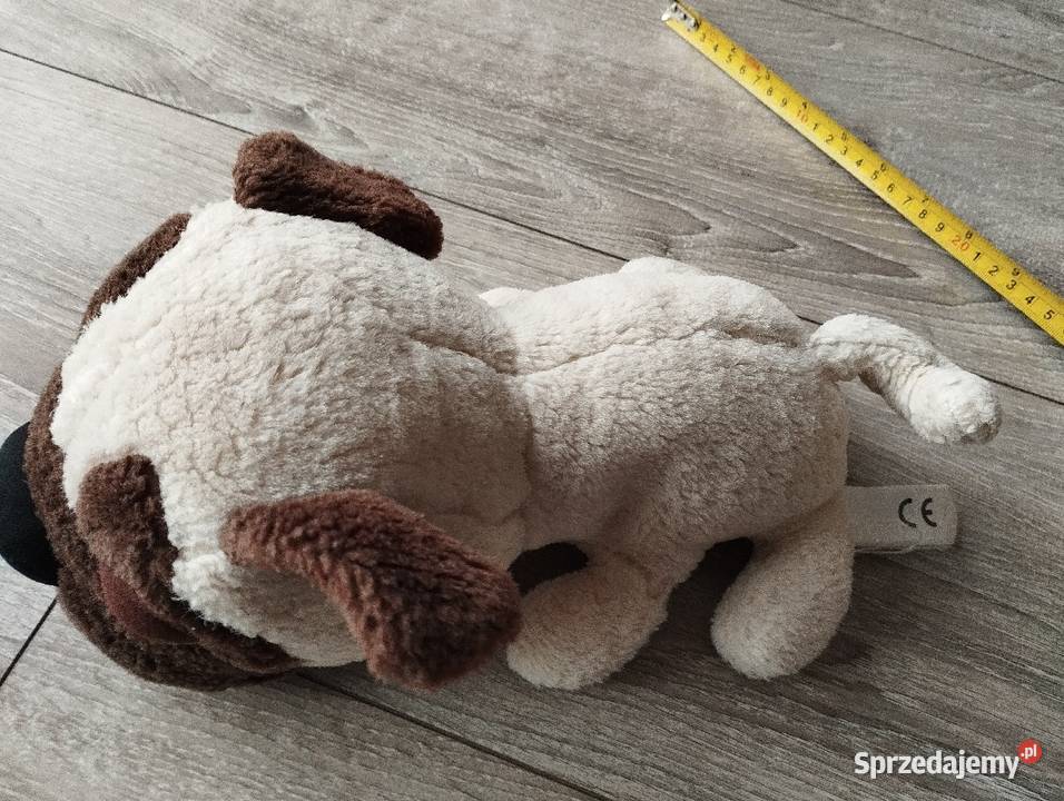 pies pluszak maskotka kolejny Poznań