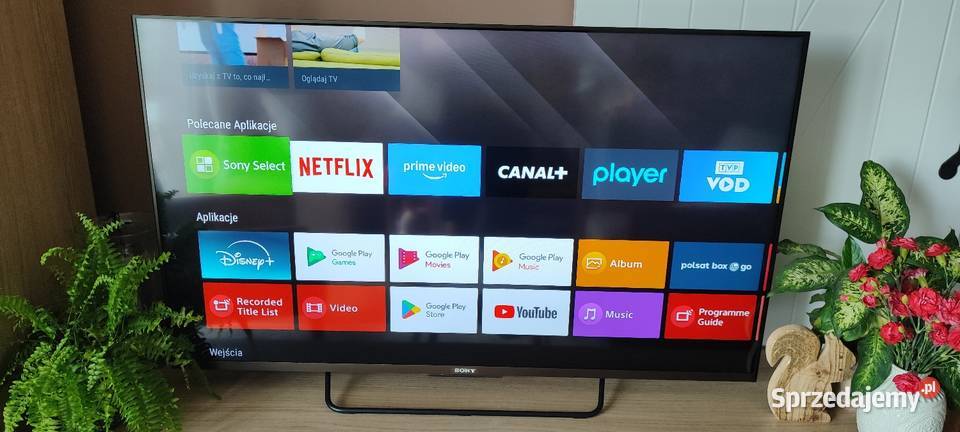 Sony bravia 50 Reda