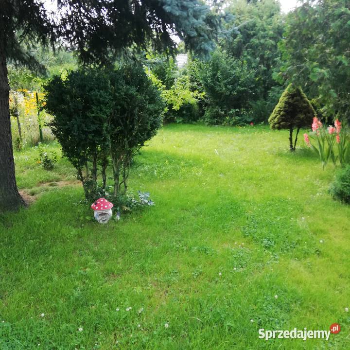 Działka ROD w Łowiczu
