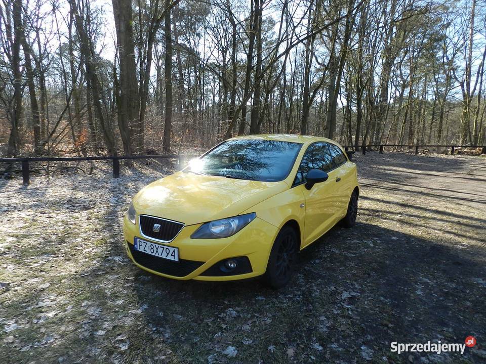 SEAT Ibiza IV 14 benzyna Klimatyzacja bluetooth benzyna wielkopolskie