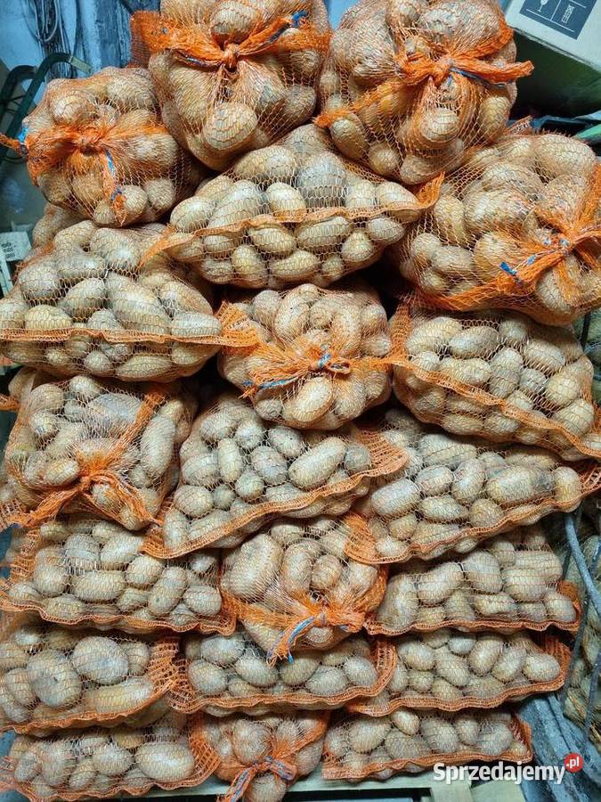 Sprzedam ziemniaki łódzkie Witonia