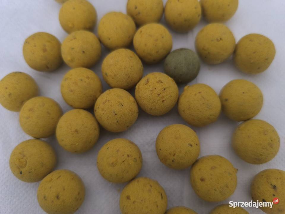 Lorpio Kulki Proteinow Carp Program Floating podlaskie Białystok sprzedam