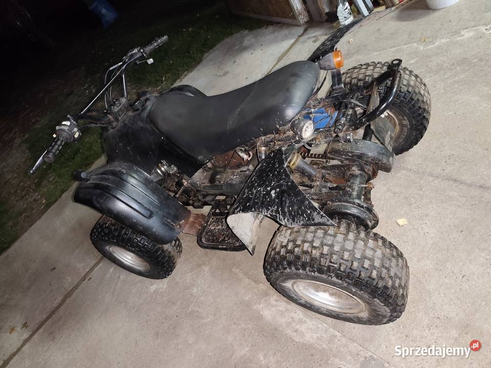 Quad Adly 100 cc automat odpalany z kopniaka i Aeon Radom