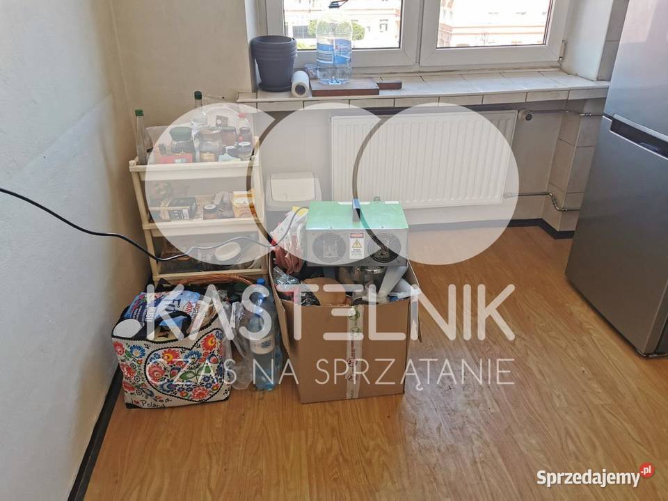 Odgrzybianie ścian Dobczyce Kastelnik Usuwanie
