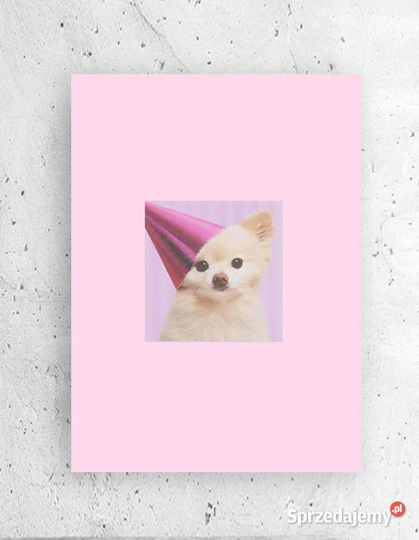 chihuahua obrazek A4 pastelowy plakat z psem łódzkie Łódź sprzedam