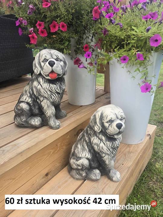 jeż gipsowy para jeży ogrodowe jeż ogrodowy dolnośląskie Wrocław