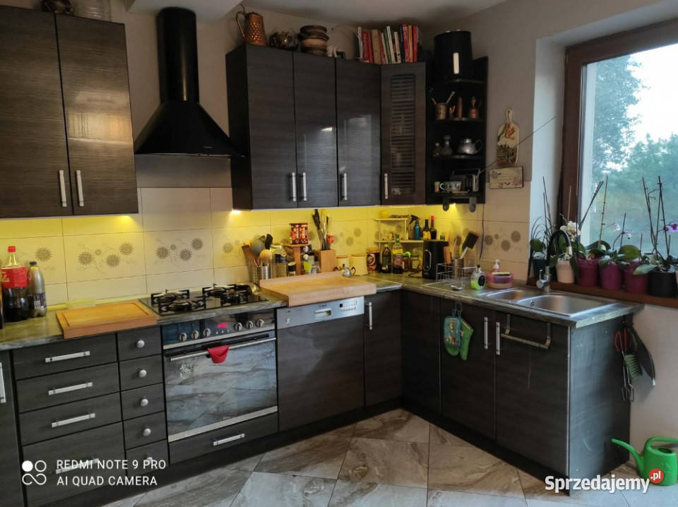 Siedlisko Łodzi działka 6 544 m 2 domy garaż Bedoń-Wieś