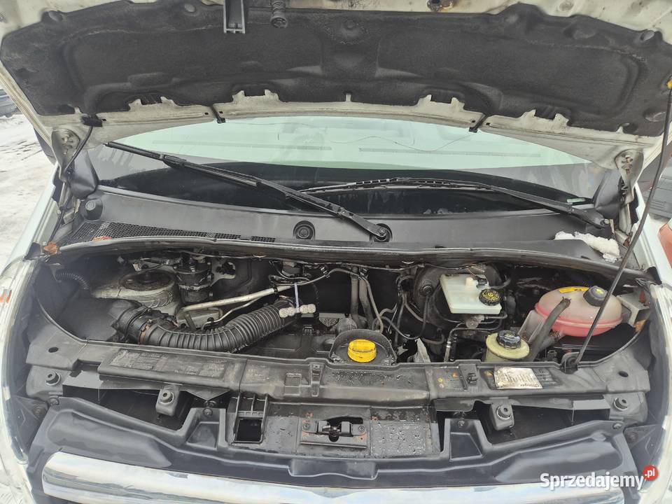 3 2016 Opel Movano 3 osobowy 23d 125 KLIMA LIFT Opel Bujaków