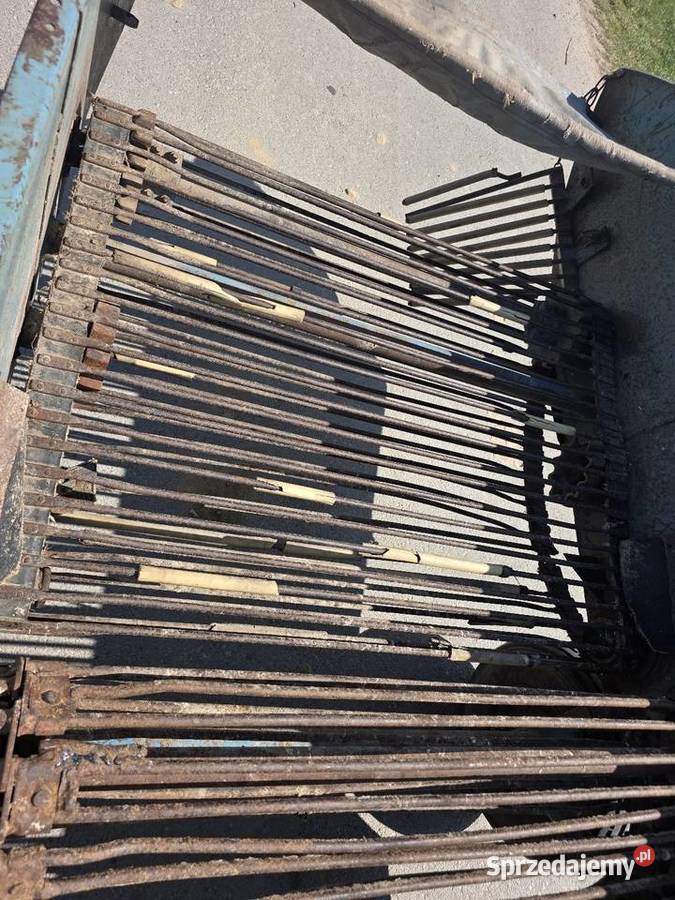 Kopaczka elewatorowa dwurzedowa do ziemniakow Samborzec