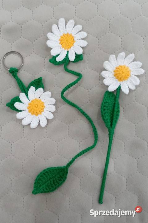 Stokrotki wykonane na szydełku