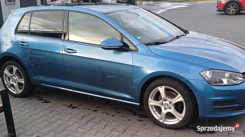 Volkswagen Golf 2013 16 TDI manualna Węgorzewo
