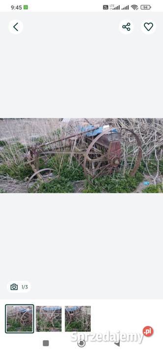 Siewnik konny Płock