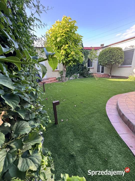 Trawa ogród piękny trawnik sztuczna trawa Wrocław